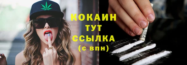 ГАЛЛЮЦИНОГЕННЫЕ ГРИБЫ Пересвет