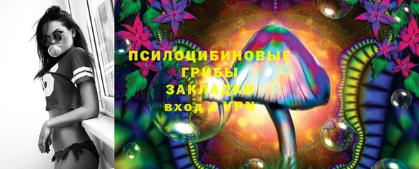 ГАЛЛЮЦИНОГЕННЫЕ ГРИБЫ Пересвет